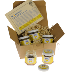 ELEMENTE SET  <br> sei in deinem Element