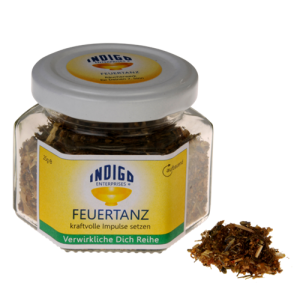 FEUERTANZ <br> kraftvolle Impulse setzen