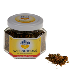 WAHRNEHMUNG <br> für mehr Fülle im Leben