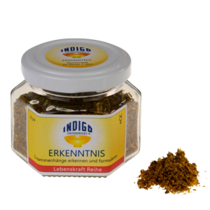 ERKENNTNIS <br> Zusammenhänge erkennen und formulieren