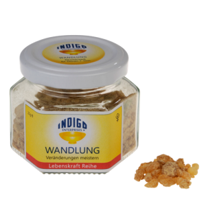 WANDLUNG <br> Veränderungen meistern