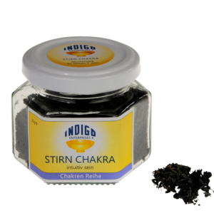 STIRN CHAKRA <br> intuitiv sein