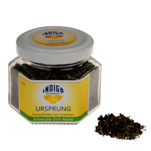 URSPRUNG <br> Ursachen erkennen und karmische Muster lösen