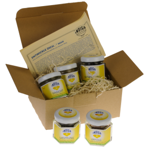 ENTWICKLE DICH SET <br> Rückzug, Verwandlung und Erneuerung