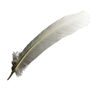 RÄUCHERFEDER <br> weiß