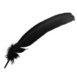 RÄUCHERFEDER <br> schwarz