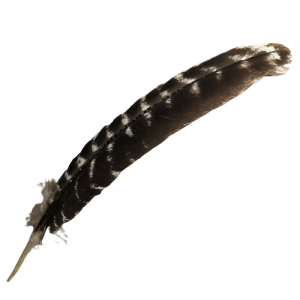 RÄUCHERFEDER <br> natur